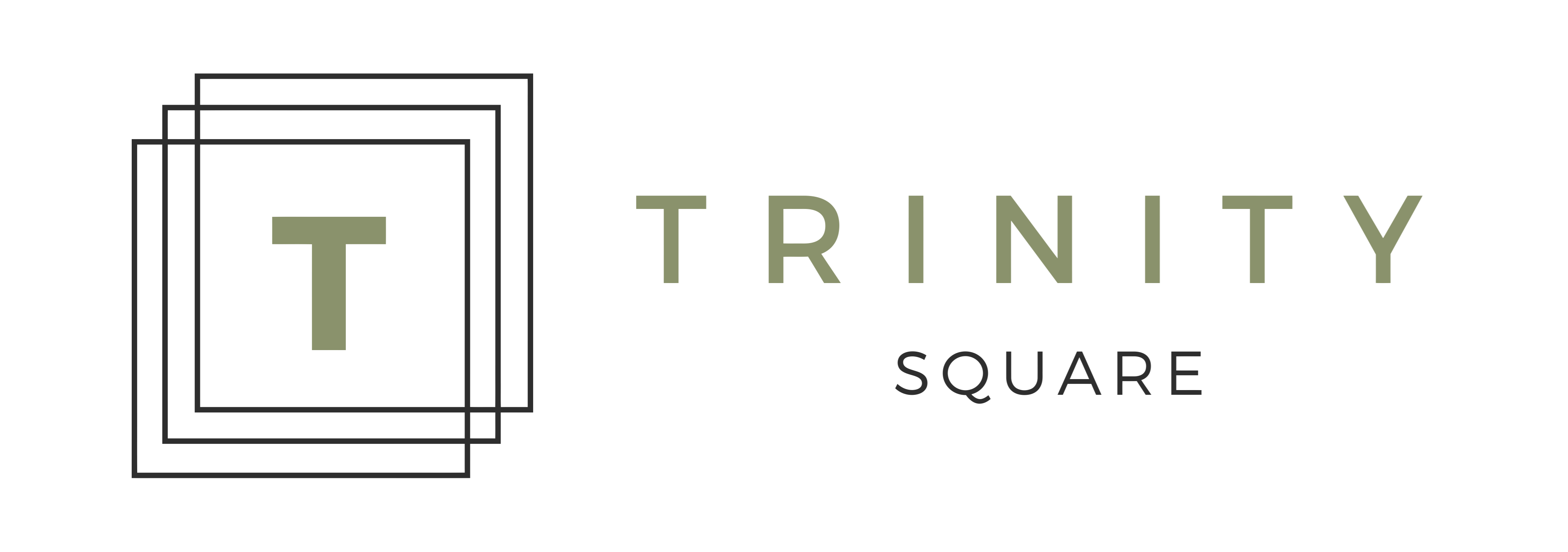 A logo with the letter T inside a square and the words "TRINITY SQUARE" beside it.